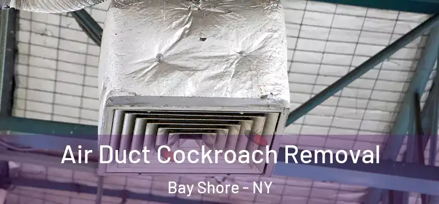  Air Duct Cockroach Removal Bay Shore - NY