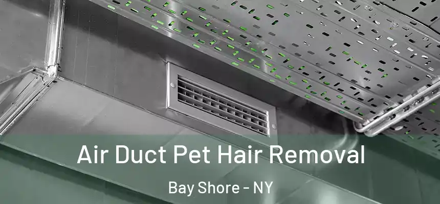 Air Duct Pet Hair Removal Bay Shore - NY