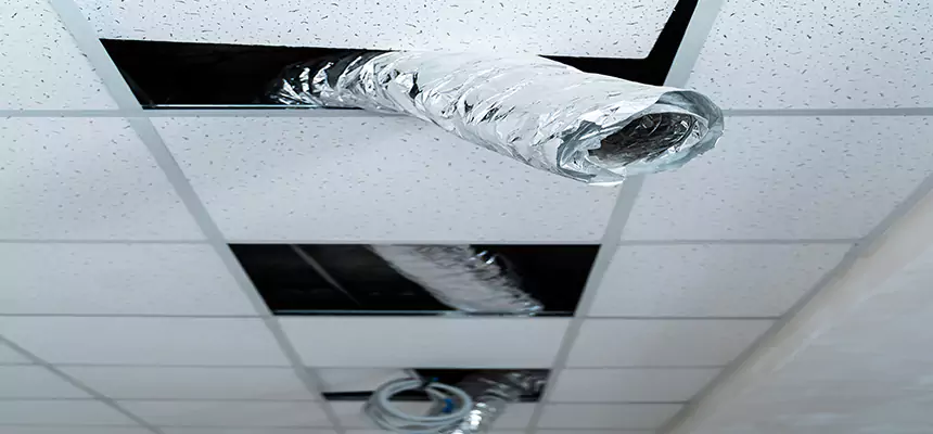 Our Air Duct Pet Hair Removal Services in Bay Shore, NY