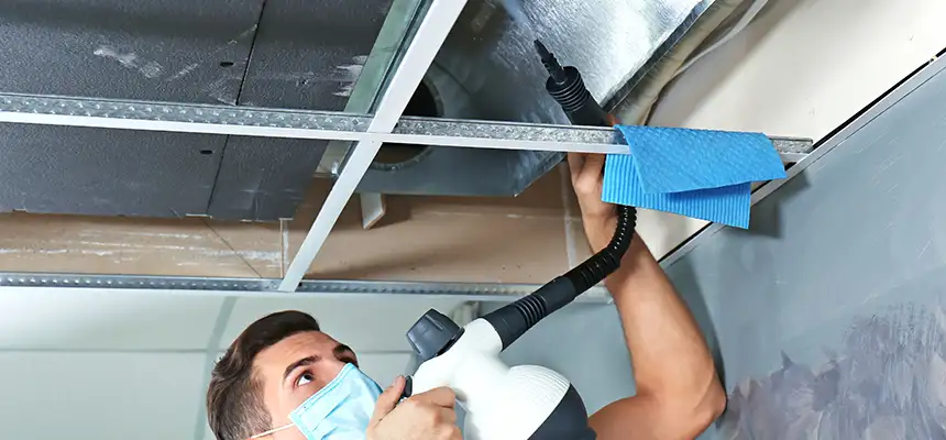 Our Air Duct Rodent Removal Services in Bay Shore, NY