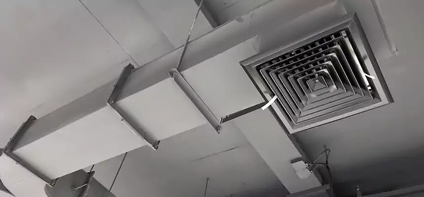 Restorative Allergy Relief Vent Cleaning – Coil, Blower & Housing Detail in Bay Shore