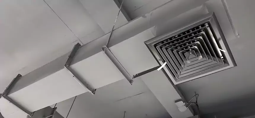 Our Pest Removal From Ducts Services in Bay Shore, NY