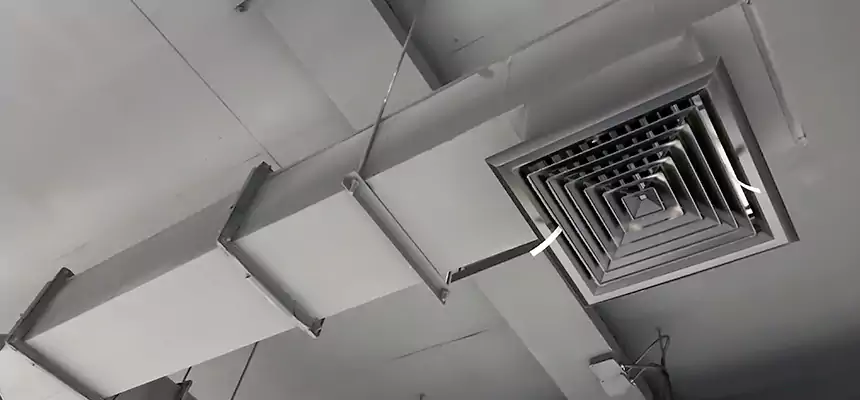 Our Rodent Droppings In Vents Services in Bay Shore, NY