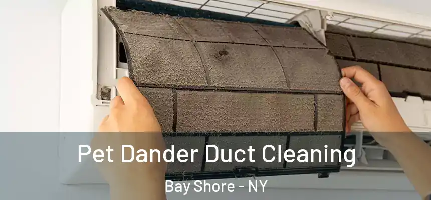  Pet Dander Duct Cleaning Bay Shore - NY