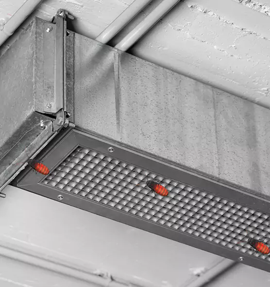 Affordable Insect Removal from Air Ducts in Bay Shore, NY