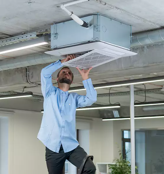 Advanced Rodent Droppings In Vents in Bay Shore, NY