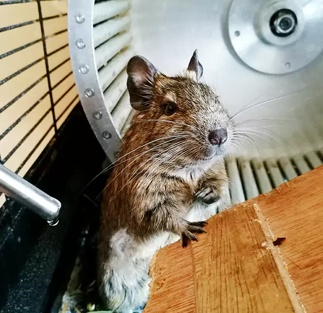 Why Homeowners & Businesses Trust Us Bay Shore, NY?