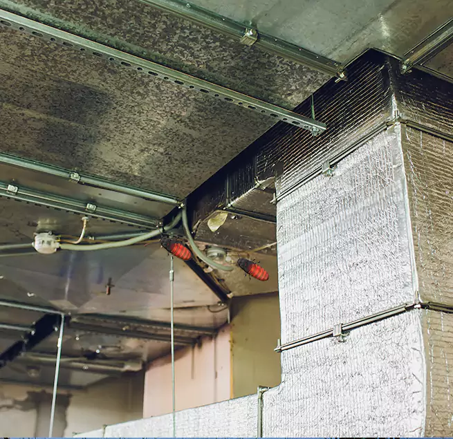 Why Homeowners & Businesses Trust Us Bay Shore, NY?